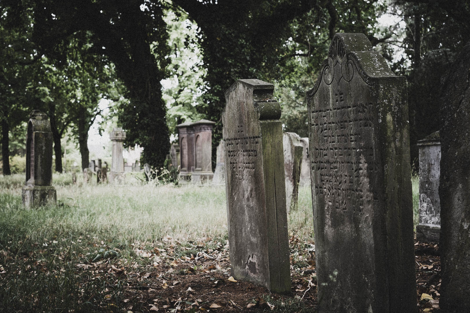 Rheda Wiedenbrück 0506